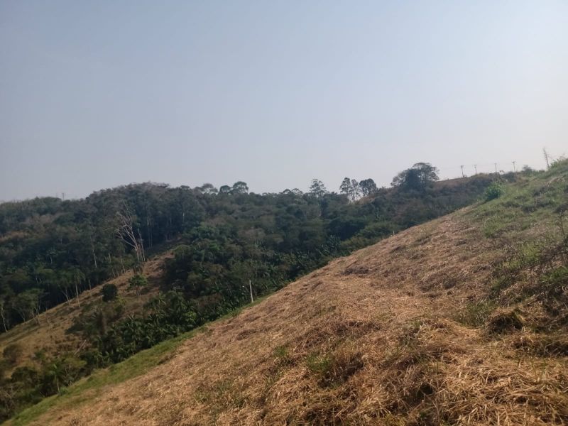 img-4