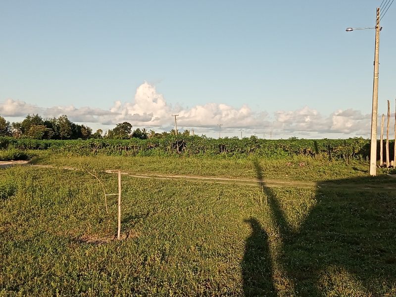 img-12