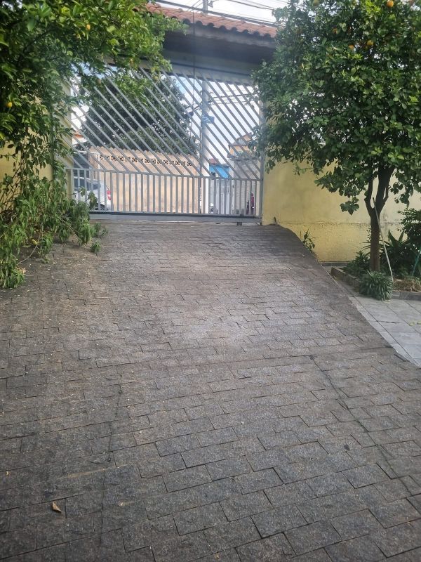img-3