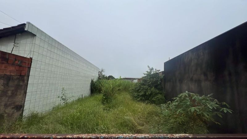 img-2