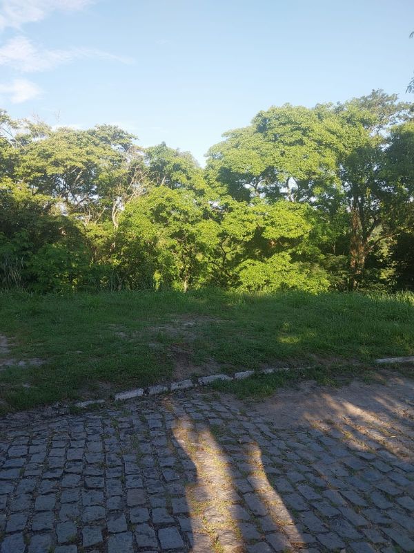 img-9