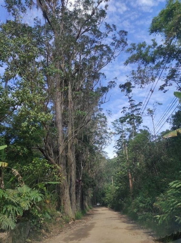 img-30