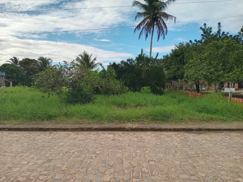 img-1