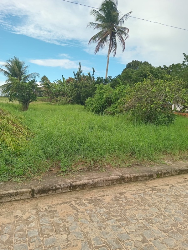 img-4