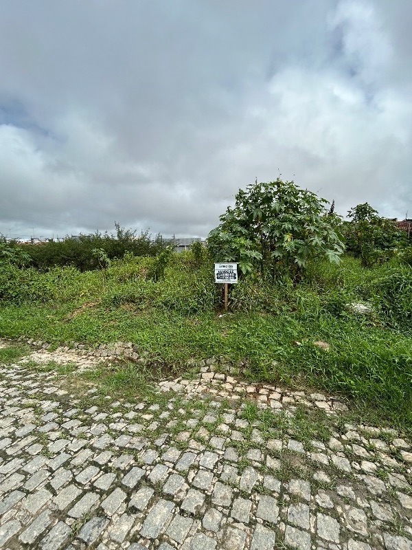 img-3