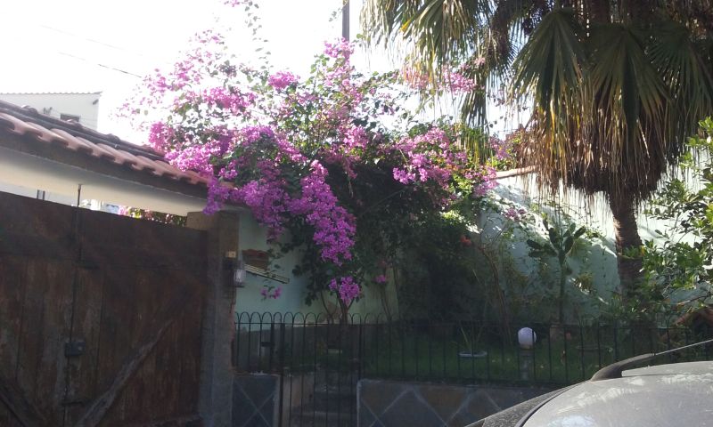 img-2