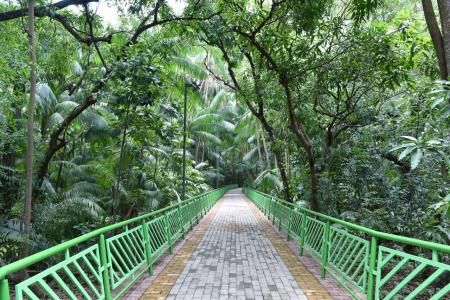 Parque São Luiz - Teresópolis