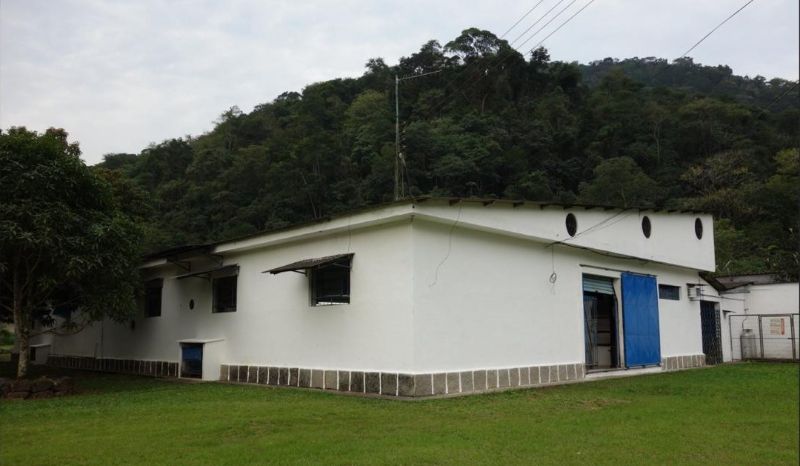img-2