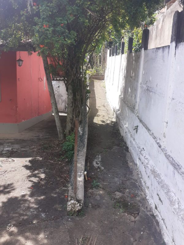 img-7