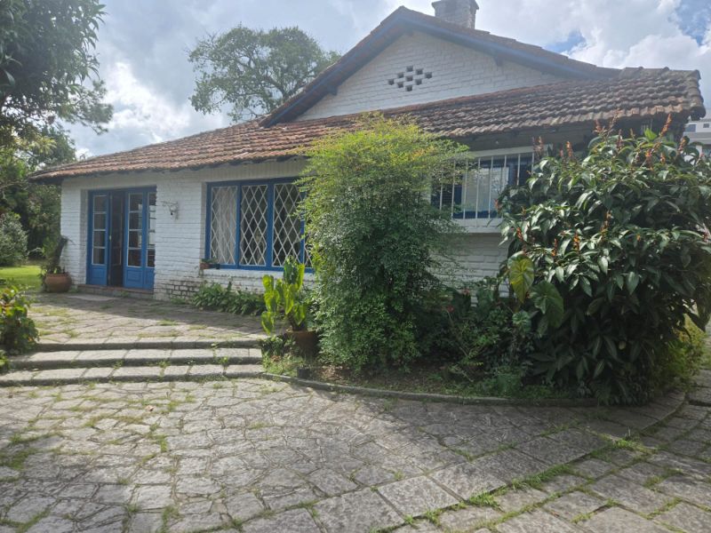img-1