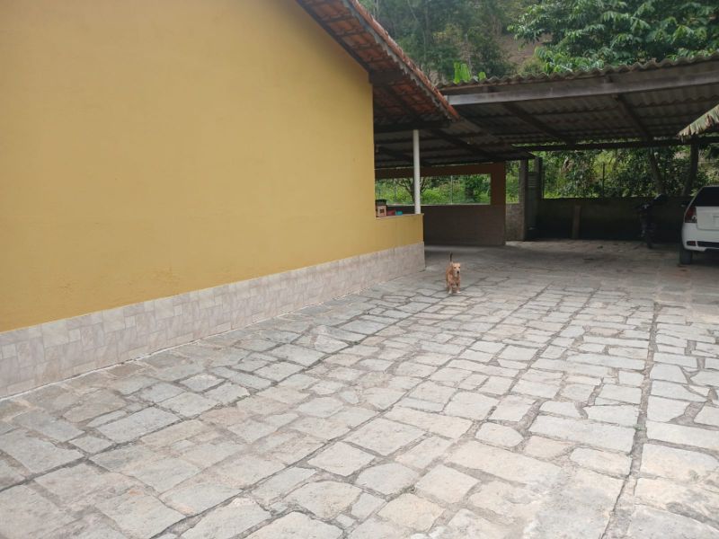 img-13