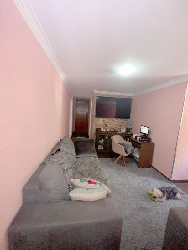 img-7