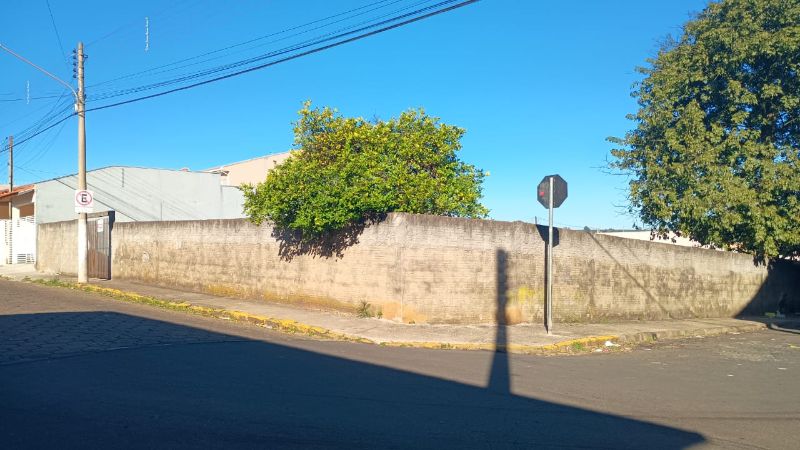 img-3