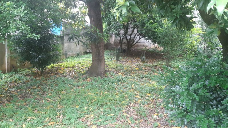 img-15