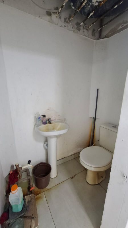 img-8