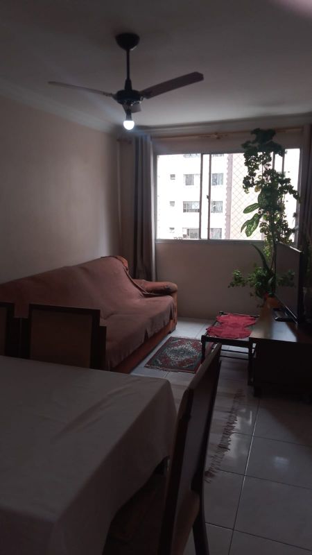 img-4