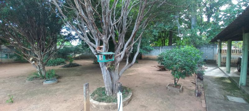 img-19
