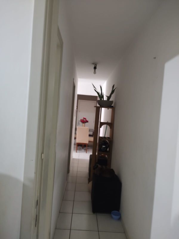 img-4
