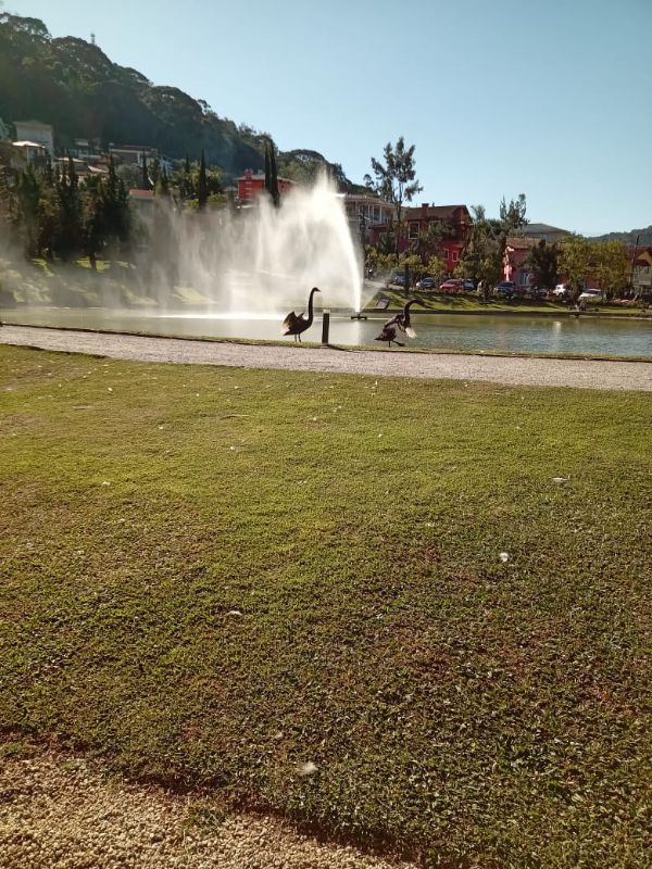 img-30