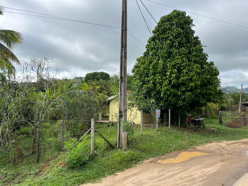 img-3