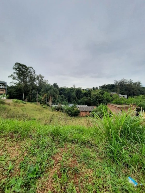 img-2