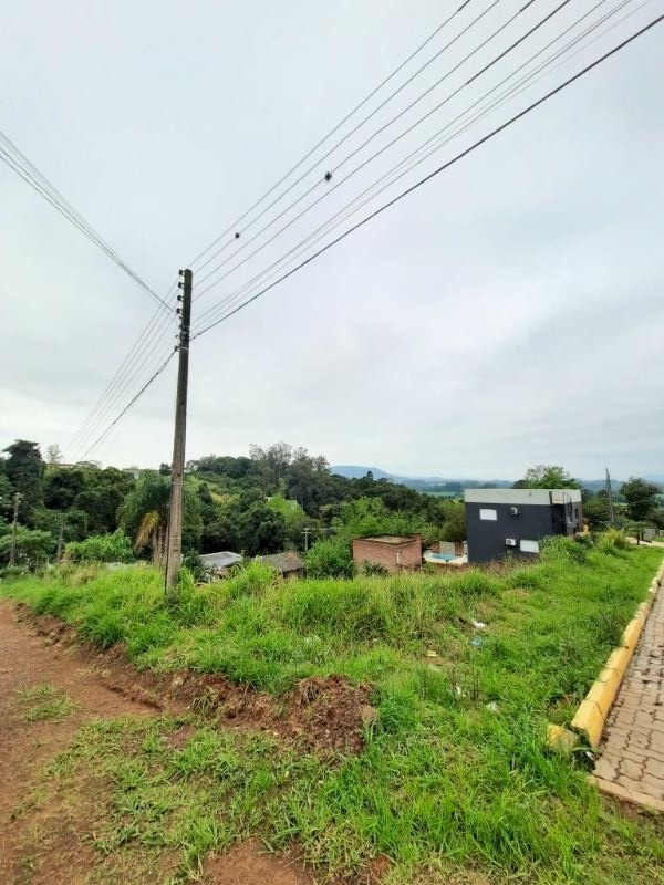 img-3