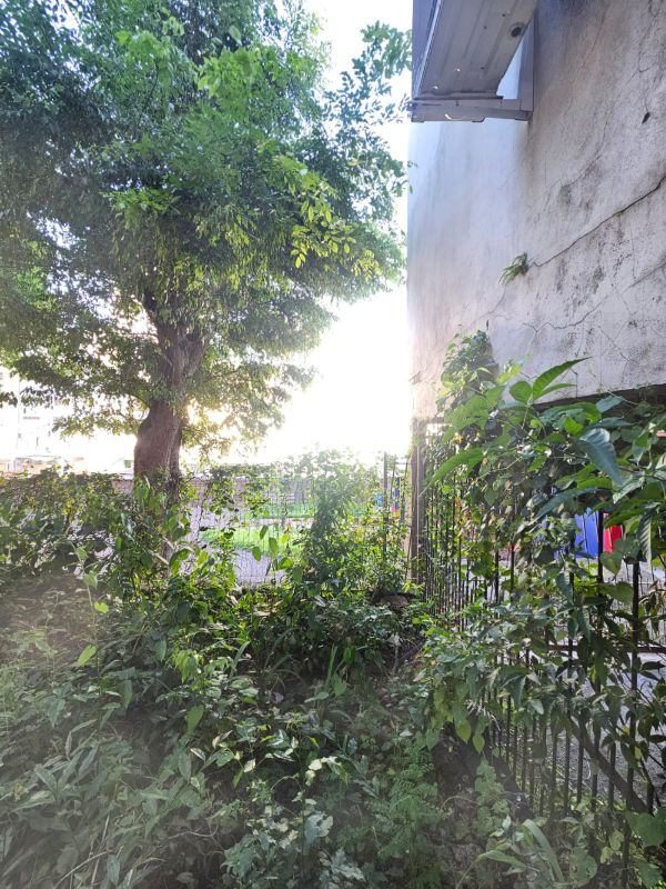 img-15