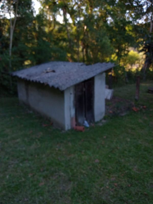 img-15