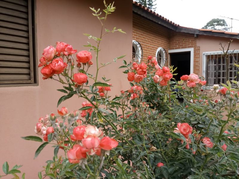 img-35