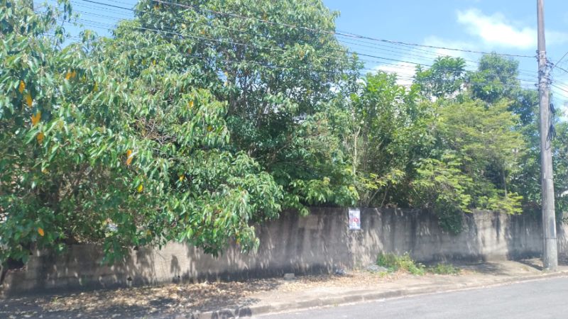 img-2
