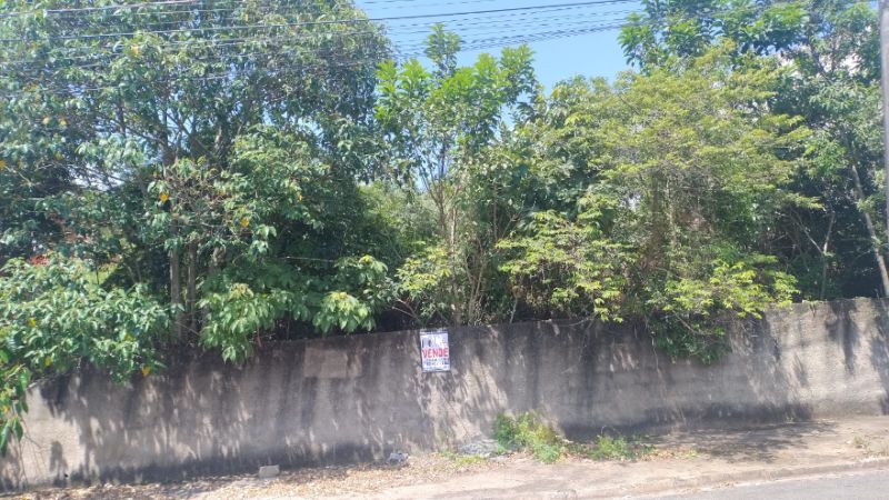 img-3