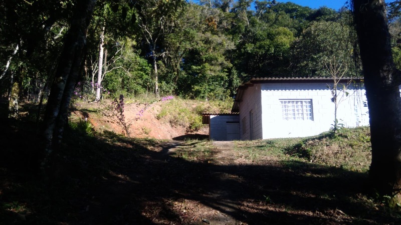 img-4