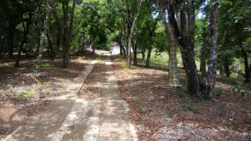 img-14