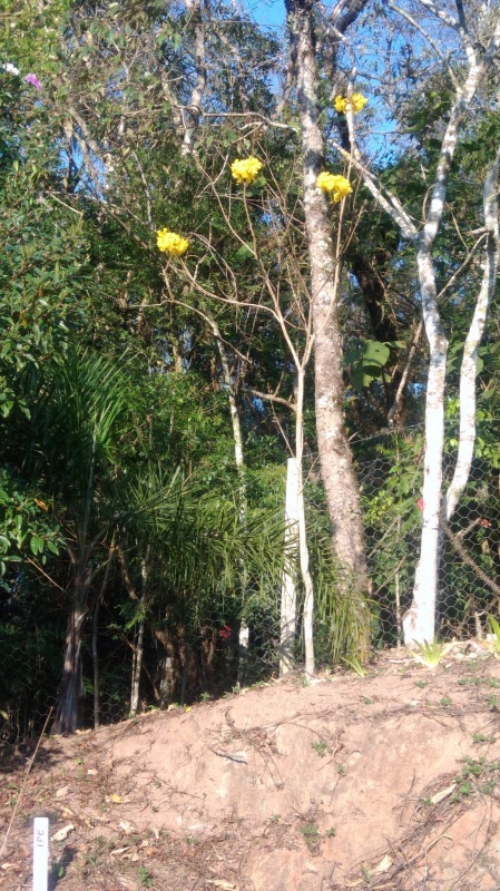 img-17
