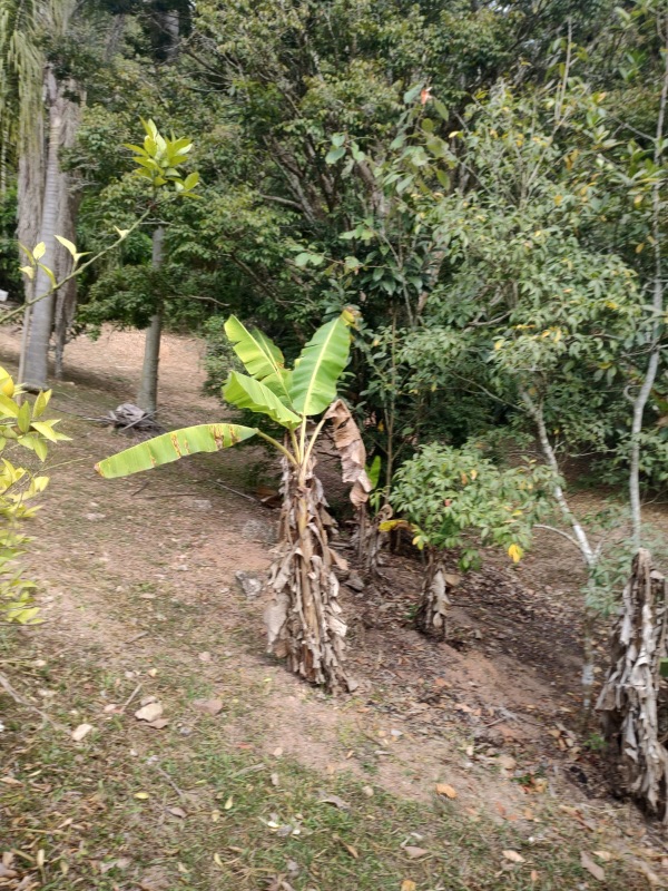 img-29