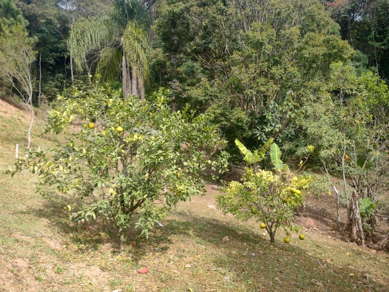 img-34