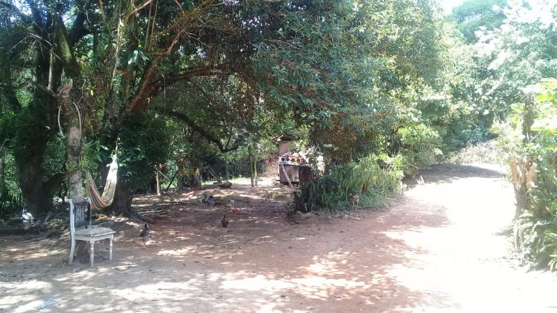img-2