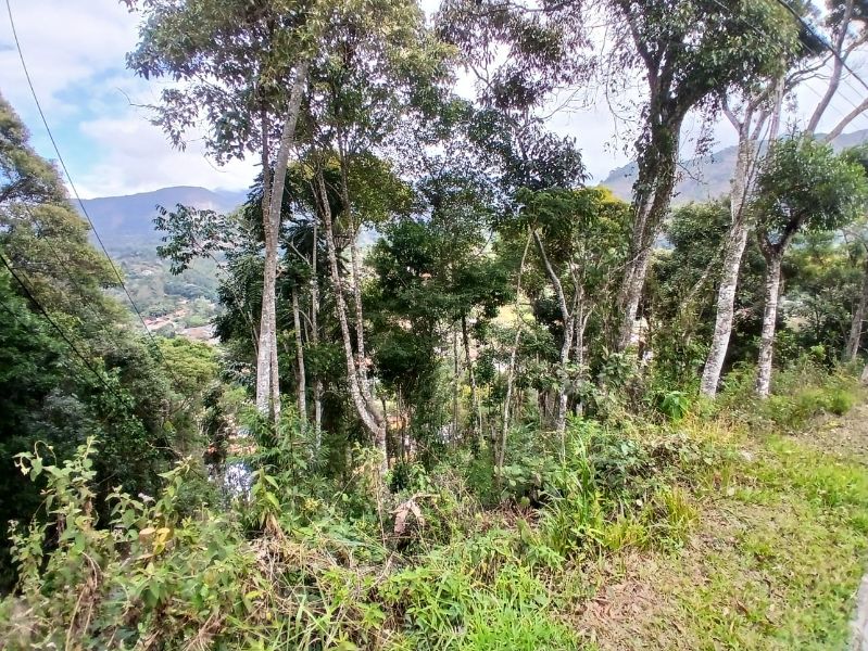 img-4