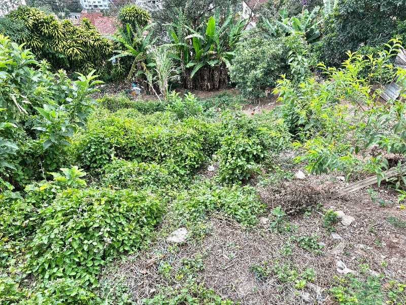 img-4