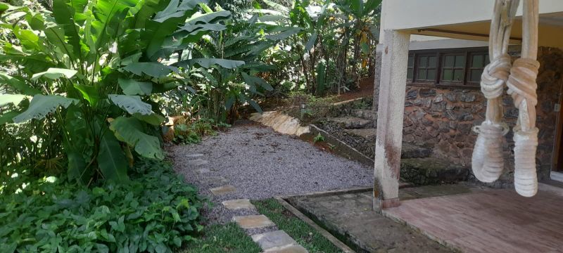 img-8