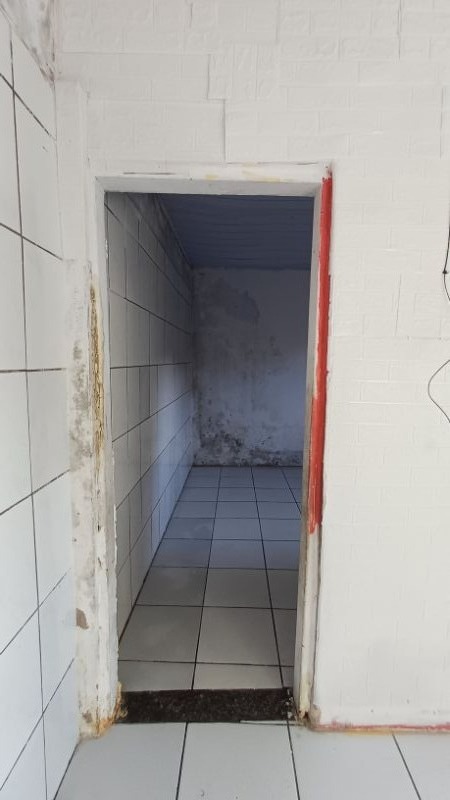 img-13