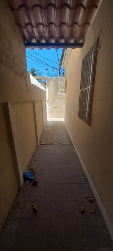 img-8