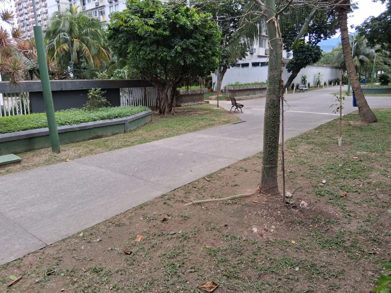 img-19